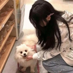 火柴人英雄飞行手游下载